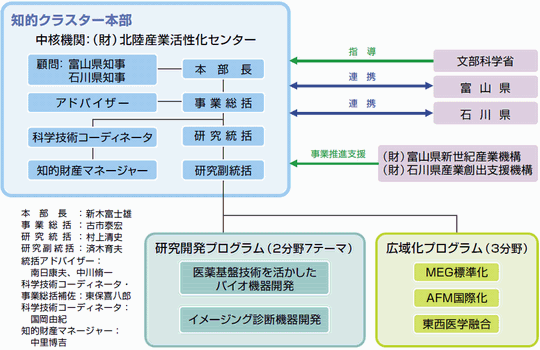 Project Promotion Structure