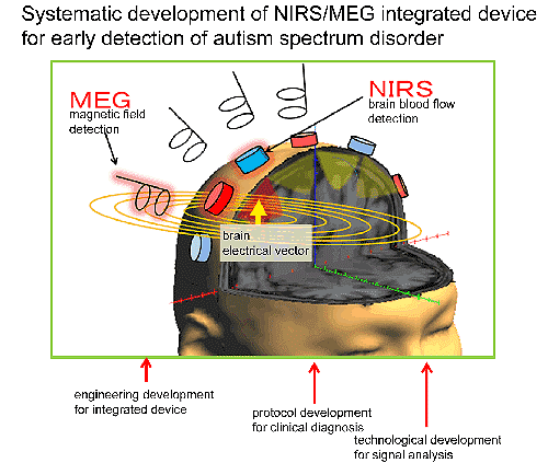 System development project with NIRS/MEG integrated device for the early detection of and intervention in autism spectrum disorder