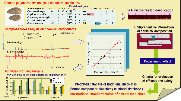 Standardization of Natural Medicines based on genetic, chemical and pharmacological approaches