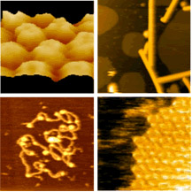 International Consortium Program for High-Speed Bio-AFM